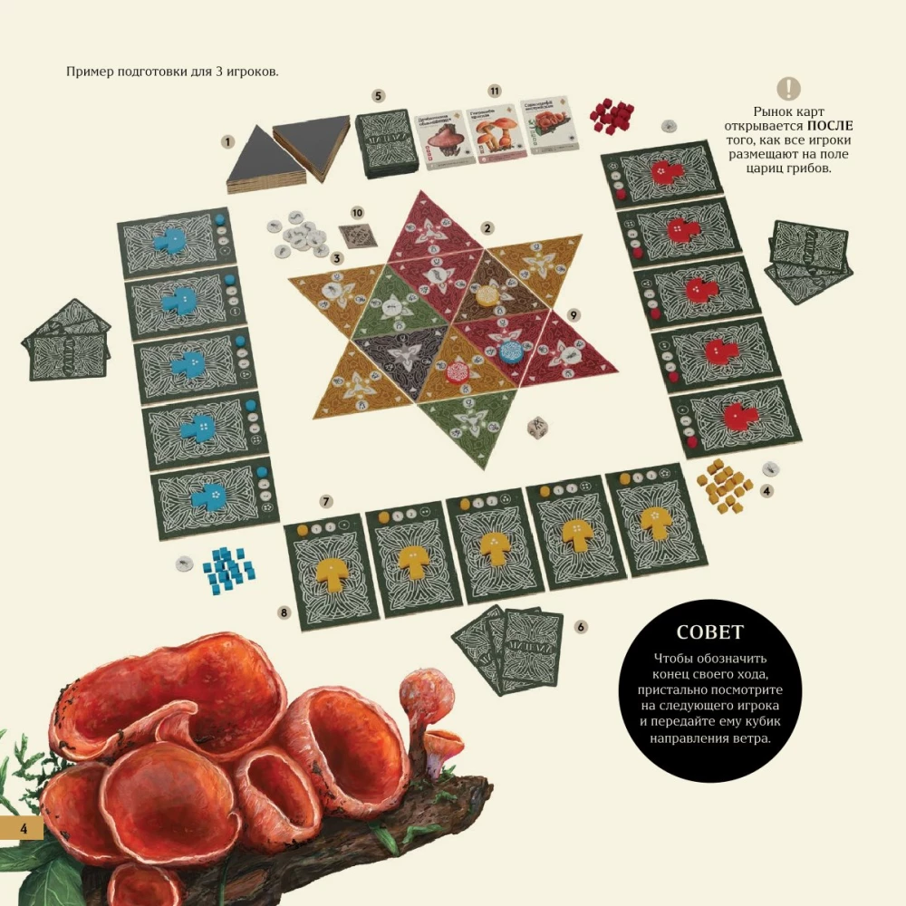 Stalo žaidimas - Micelijus